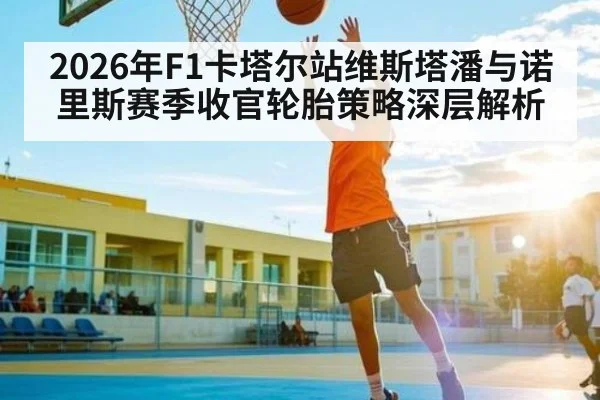 2026年F1卡塔尔站维斯塔潘与诺里斯赛季收官轮胎策略深层解析
