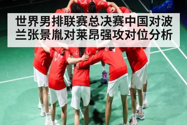 世界男排联赛总决赛中国对波兰张景胤对莱昂强攻对位分析
